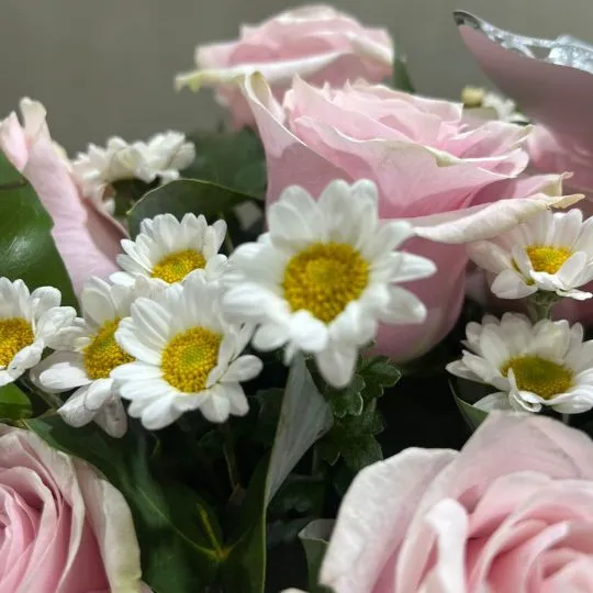 Caja pote con 15 rosas rosadas importadas